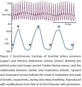 BP waves fig 3