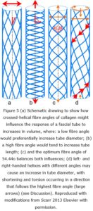 BP waves fig 5