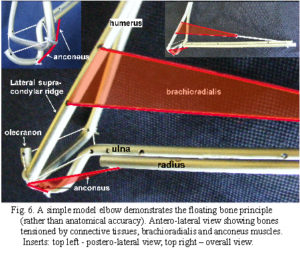 fig. 6 amended